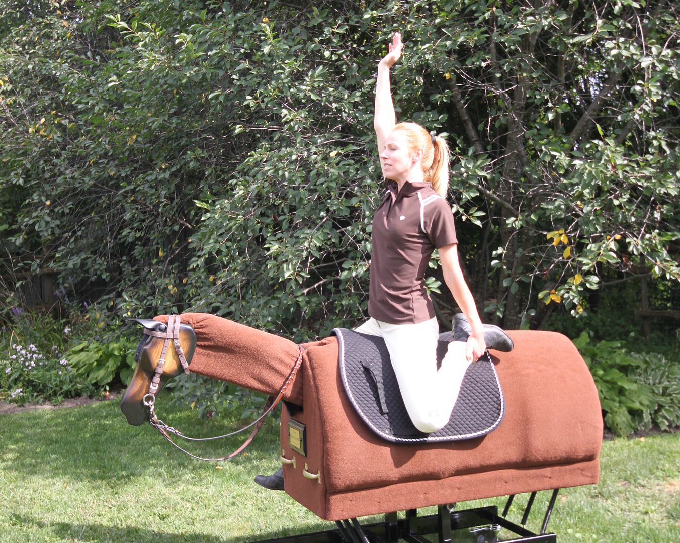Equicizer Equestrian Exercises